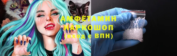 крисы Абаза