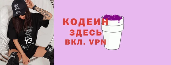 крисы Абаза