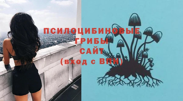 МДПВ Абдулино